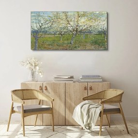Obraz canvas De de Boomgaard van Gogh