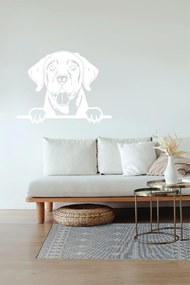 Veselá Stena Samolepka na stenu na stenu Labradorský retriever Farba: černá