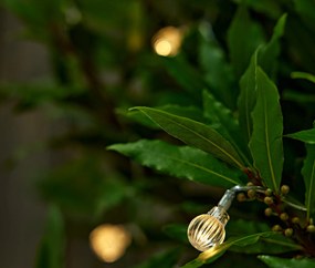 Solárna svetelná reťaz s guľôčkami