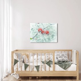 Obraz zmrznutých šípok (70x50 cm)