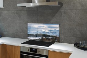 Nástenný panel  horské zimné 125x50 cm