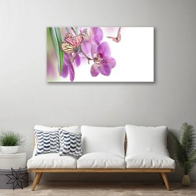 Skleneny obraz Motýle kvety príroda 100x50 cm
