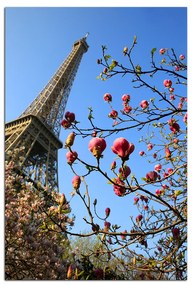 Obraz na plátne - Eiffelova veža v jarnom období - obdĺžnik 734A (100x70 cm)