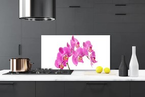 Sklenený obklad Do kuchyne Orchidea kvety príroda 140x70 cm