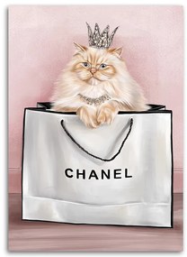 Gario Obraz na plátne Mačka v taške Chanel Rozmery: 40 x 60 cm