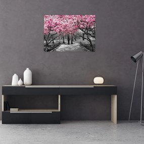 Sklenený obraz stromov Magnólie (70x50 cm)