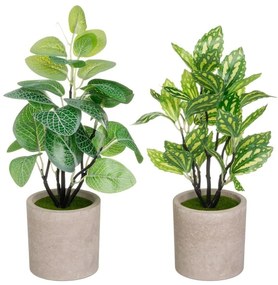 Umelé rastliny v súprave 2 ks (výška 28 cm) – Casa Selección