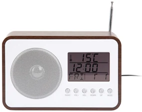 Budík a FM rádio Karlsson KA6036DW, 13cm