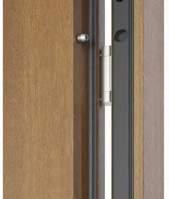 Kovové vchodové dvere S68 Neptun 90 P dub zlatý