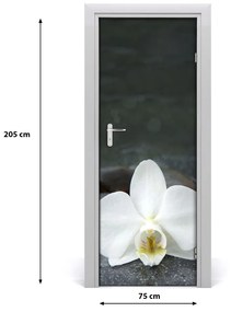 Fototapeta na dvere orchidea 75x205 cm