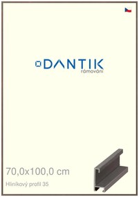DANTIK rám na obraz 70x100 | ALU Hnědá tmavá (Plexi Čiré)