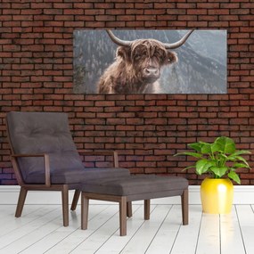 Obraz - Highlander krava (120x50 cm)