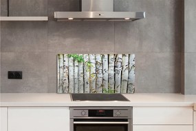Nástenný panel  brezové lístie 100x50 cm