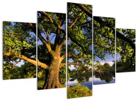 Obraz stromu