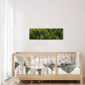Obraz - Hustý les (s hodinami) (90x30 cm)