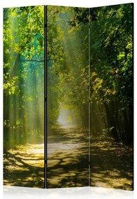 Artgeist Paraván - Road in Sunlight [Room Dividers]