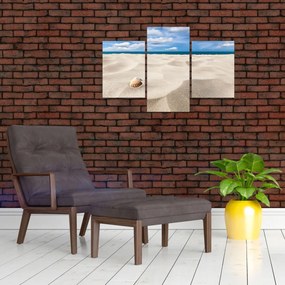 Obraz - Mušle na pláži (90x60 cm)