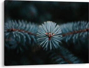 Obraz vetvičky ihličnatého stromu (70x50 cm)