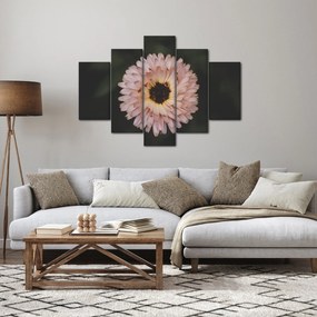 Obraz oranžovej kvetiny (150x105 cm)