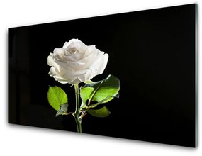 Sklenený obklad Do kuchyne Ruže kvet rastlina 140x70 cm
