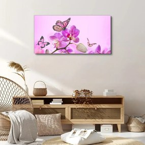Obraz canvas Kvety prírody motýľ