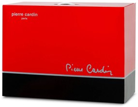 AKRYLOVÁ DEKA PIERRE CARDIN CLARA1 160X220 CM STRIEBORNÁ