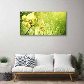 Obraz Canvas Tráva príroda rastlina 120x60 cm