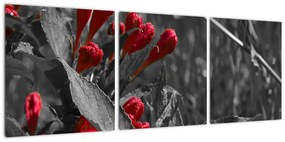 Červené kvety - moderné obrazy