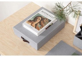 Kartónový organizér na dokumenty Oskar – Bigso Box of Sweden