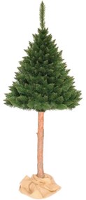 Krásný vianočný stromček borovica s kmeňom 220 cm