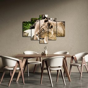 Obraz levice (150x105 cm)