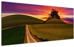 Obraz poľa a farebného neba (120x50 cm)