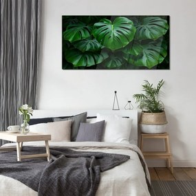 Skleneny obraz Moderné listy rastlín