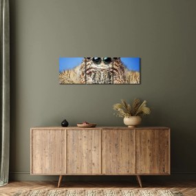 Obraz detailu pavúka (s hodinami) (90x30 cm)