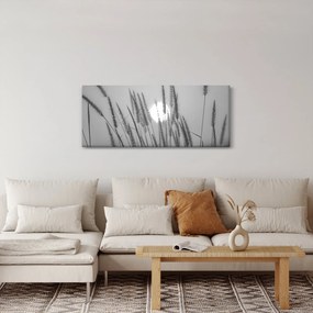 Obraz - Lúka pri západe slnka (120x50 cm)
