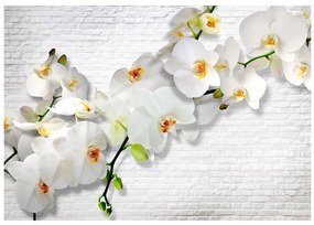 Artgeist Fototapeta - The Urban Orchid Veľkosť: 100x70, Verzia: Premium