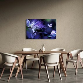 Obraz - Tropický kvet (90x60 cm)