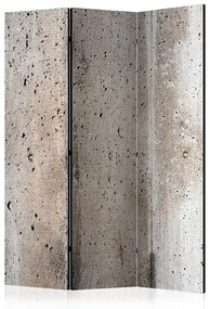 Paraván - Old Concrete [Room Dividers]