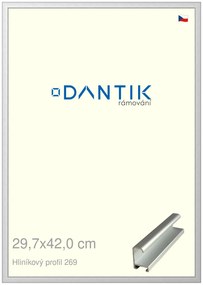 DANTIK rám na obraz 29,7x42 | ALU Stříbrná matná (Plexi Čiré)