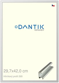 DANTIK rám na obraz 29,7x42 | ALU Stříbrná matná (Plexi Čiré)