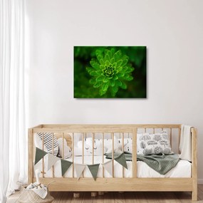 Sklenený obraz ihličnanu (70x50 cm)