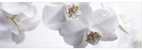 Obklad do kúpeľne mySPOTTI aqua orchid 140x45 cm