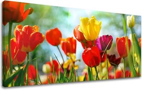 Obraz na stenu Panoráma KVETY XOBKV145E13 - 60x120 cm