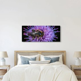 Obraz včely na kvetine (120x50 cm)