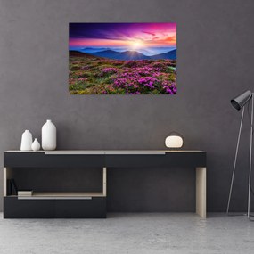 Obraz - Horská rozkvitnutá krajina (90x60 cm)