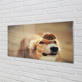 Sklenený obraz dog bun 125x50 cm