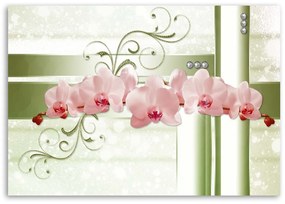 Obraz na plátně Růžové květy orchidejí - 90x60 cm