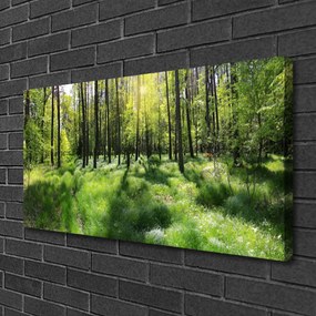 Obraz Canvas Les tráva rastlina príroda 125x50 cm