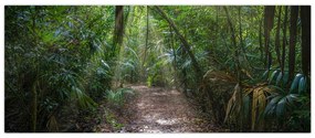 Obraz - Slnečné lúče v džungli (120x50 cm)