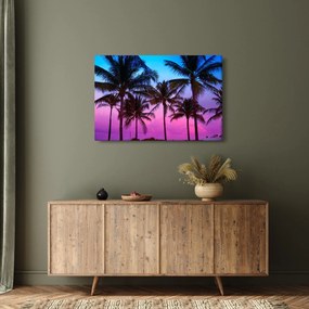 Obraz - Palmy v Miami (90x60 cm)